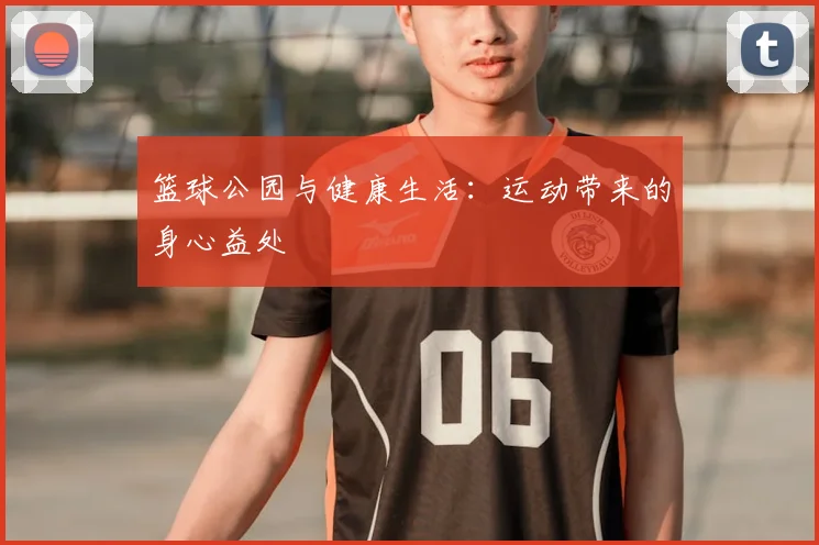 篮球公园与健康生活：运动带来的身心益处