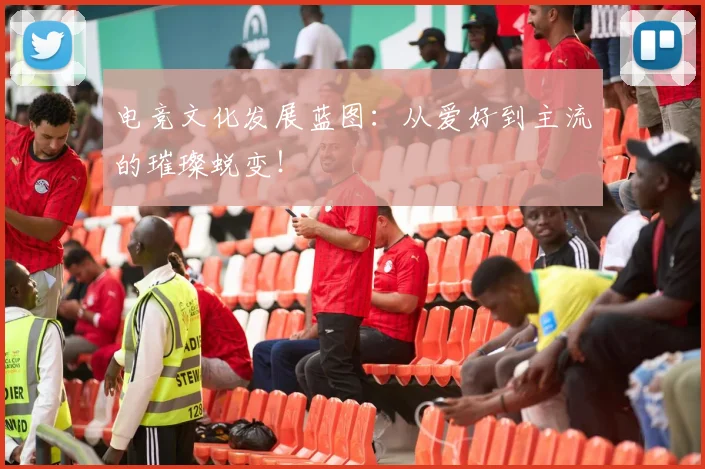 电竞文化发展蓝图：从爱好到主流的璀璨蜕变！